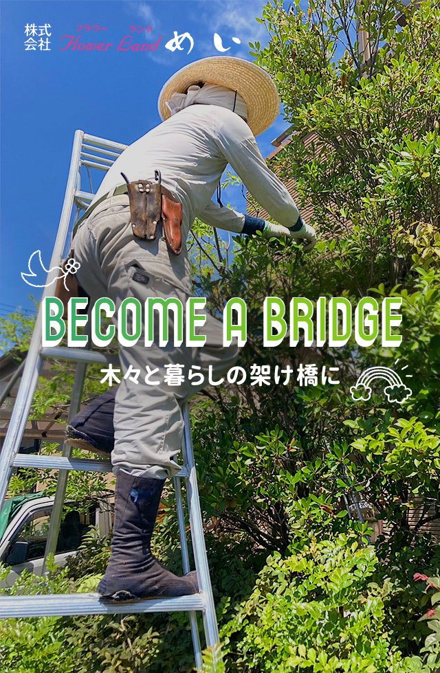 株式会社フラワーランドめい　木々と暮らしの架け橋に　庭に彩を咲かせる、豊かな時間　未来に残る景色をつくる